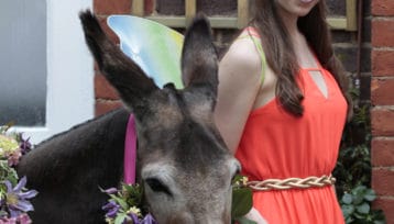 A Midsummer Day's Dream