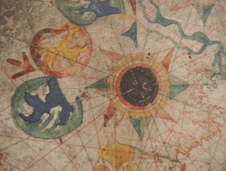 Detail of pigment loss