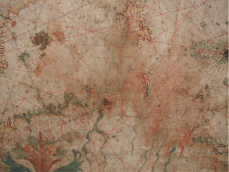 Detailed image of water damage to the pigments of the chart.