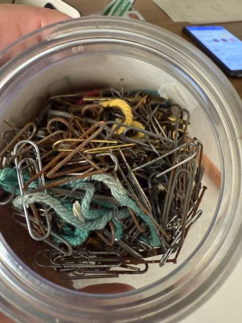Old rusty paperclips and metal fastenings removed from archival records.