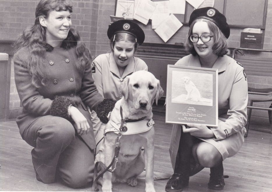 Nursing Cadets from the CN11 Ealing Nursing Cadet Division with a Cadet member’s guide dog, 1978 (Archive ref PHA5308)